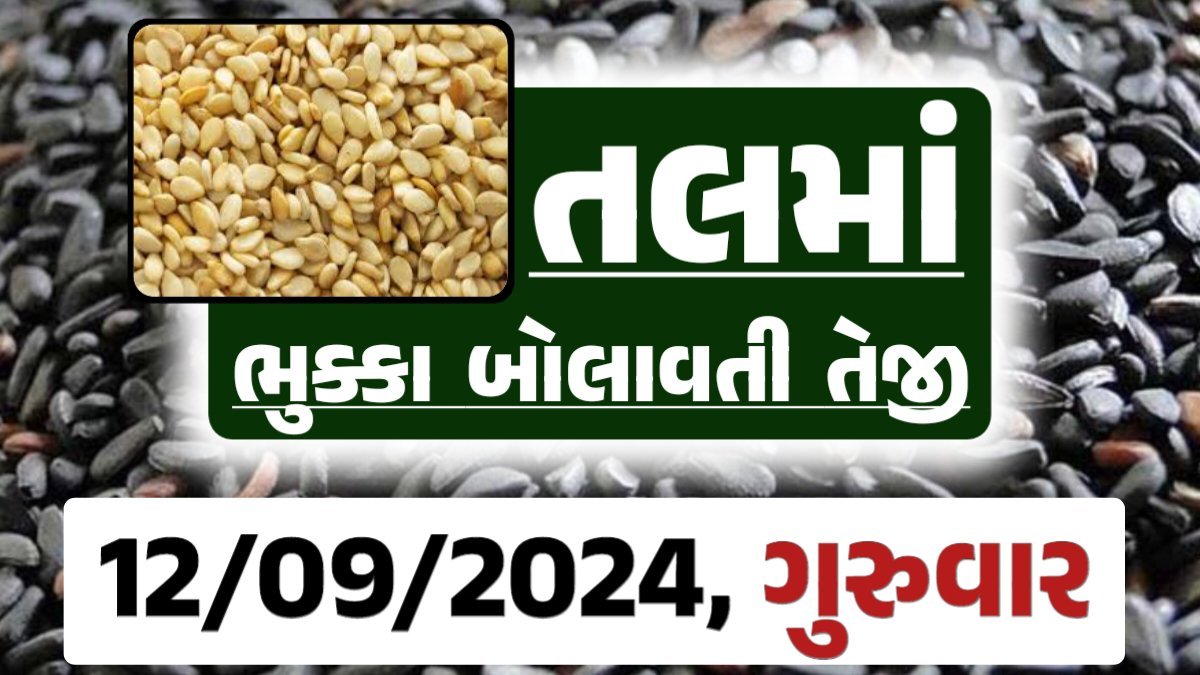 Tal price 12-09-2024 આજના સફેદ અને કાળા તલ ના બજાર ભાવ Gkmarugujarat.com