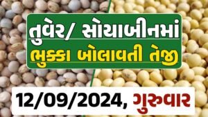 Turmeric And Soybeans Price 12-09-2024 તુવેર સોયાબીન ના બજાર ભાવ gkmarugujarat.com