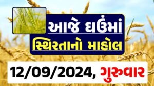 Ghau Price 12-09-2024 આજના લોકવન અને ટુકડા ઘઉં ના બજાર ભાવ gkmarugujarat.com