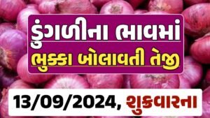 Onion Price 13-09-2024 લાલ અને સફેદ ડુંગળી ના બજાર ભાવ Gkmarugujarat.com