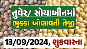 Turmeric And Soybeans Price 13-09-2024 તુવેર સોયાબીન ના બજાર ભાવ gkmarugujarat.com