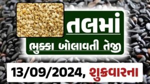 Tal price 13-09-2024 આજના સફેદ અને કાળા તલ ના બજાર ભાવ Gkmarugujarat.com