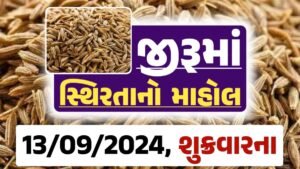 jiru Price 12-09-2024 આજના જીરૂ ના બજાર ભાવ gkmarugujarat.com