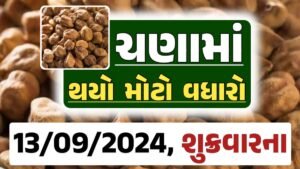 Chana Price 13-09-2024 આજના ચણા ના બજાર ભાવ gkmarugujarat.com