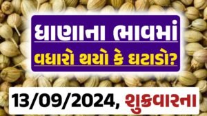 Dhana Price 13-09-2024 આજના ધાણા ના બજાર ભાવ gkmarugujarat.com