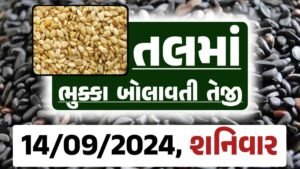 Tal price 14-09-2024 આજના સફેદ અને કાળા તલ ના બજાર ભાવ Gkmarugujarat.com