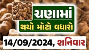 Chana Price 14-09-2024 આજના ચણા ના બજાર ભાવ gkmarugujarat.com