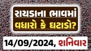 Rayda Price 14-09-2024 આજના રાયડા ના બજાર ભાવ gkmarugujarat.com