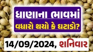 Dhana Price 14-09-2024 આજના ધાણા ના બજાર ભાવ gkmarugujarat.com