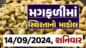 Magfali Price 14-09-2024 જાડી અને જીણી મગફળીના ભાવ Gkmarugujarat.com