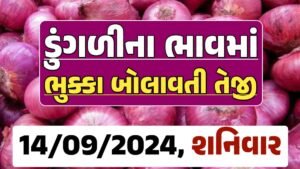 Onion Price 14-09-2024 લાલ અને સફેદ ડુંગળી ના બજાર ભાવ Gkmarugujarat.com