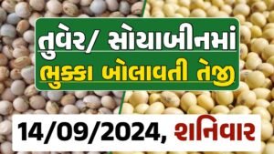 Turmeric And Soybeans Price 14-09-2024 તુવેર સોયાબીન ના બજાર ભાવ gkmarugujarat.com