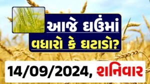 Ghau Price 14-09-2024 આજના લોકવન અને ટુકડા ઘઉં ના બજાર ભાવ gkmarugujarat.com