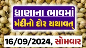 Dhana Price 16-09-2024 આજના ધાણા ના બજાર ભાવ gkmarugujarat.com