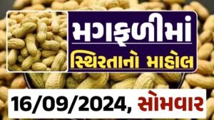 Magfali Price 16-09-2024 જાડી અને જીણી મગફળીના ભાવ Gkmarugujarat.com