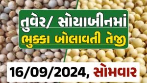 Turmeric And Soybeans Price 16-09-2024 તુવેર સોયાબીન ના બજાર ભાવ gkmarugujarat.com