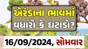 Eranda Price 16-09-2024 આજના એરંડા ના બજાર ભાવ gkmarugujarat.com