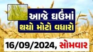 Ghau Price 16-09-2024 આજના લોકવન અને ટુકડા ઘઉં ના બજાર ભાવ gkmarugujarat.com