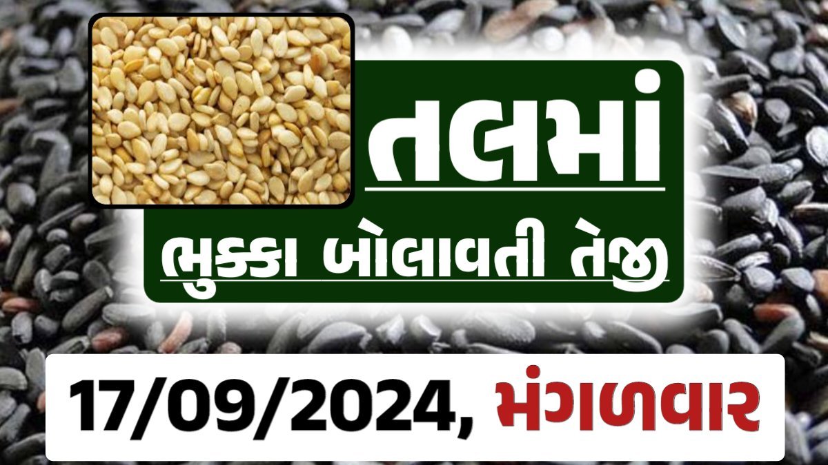 Tal price 17-09-2024 આજના સફેદ અને કાળા તલ ના બજાર ભાવ Gkmarugujarat.com