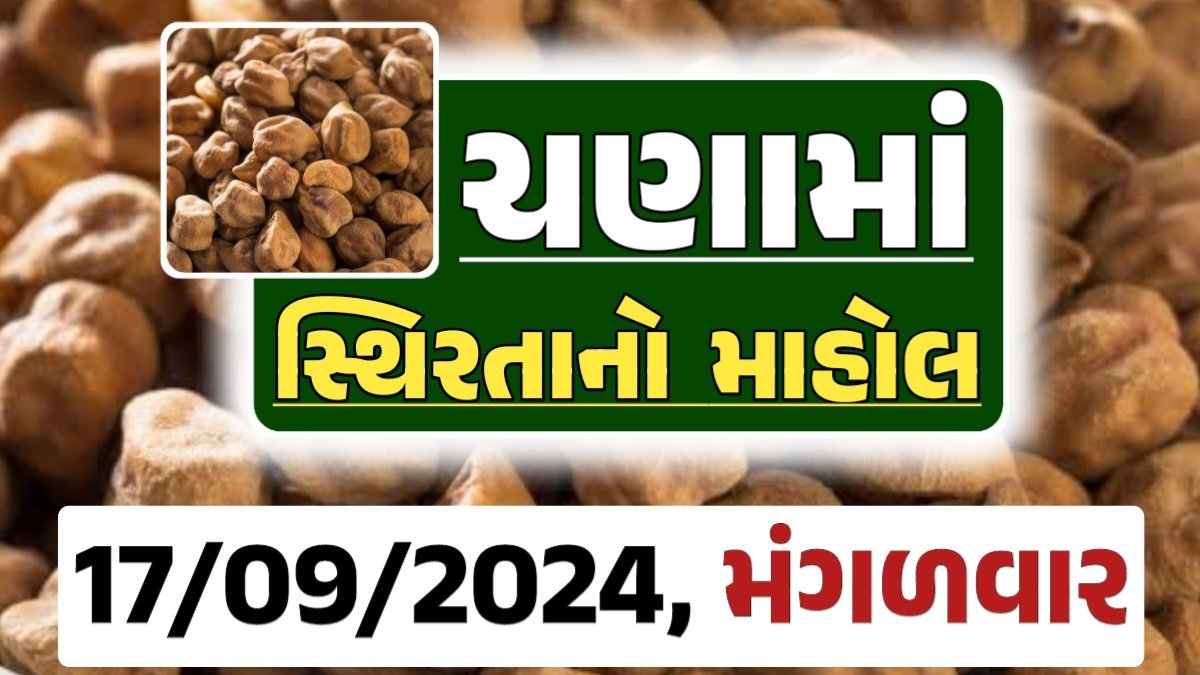 Chana Price 17-09-2024 આજના ચણા ના બજાર ભાવ gkmarugujarat.com