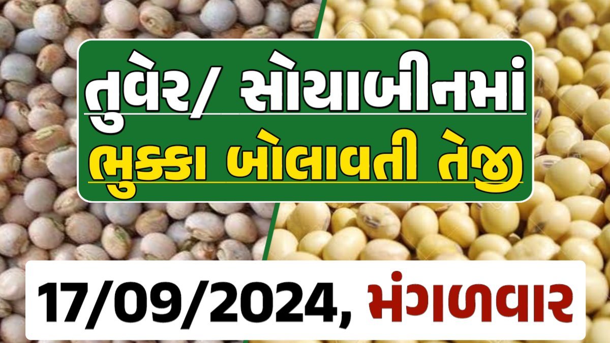 Turmeric And Soybeans Price 17-09-2024 તુવેર સોયાબીન ના બજાર ભાવ gkmarugujarat.com