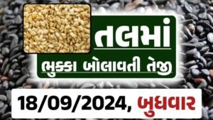 Tal price 18-09-2024 આજના સફેદ અને કાળા તલ ના બજાર ભાવ Gkmarugujarat.com