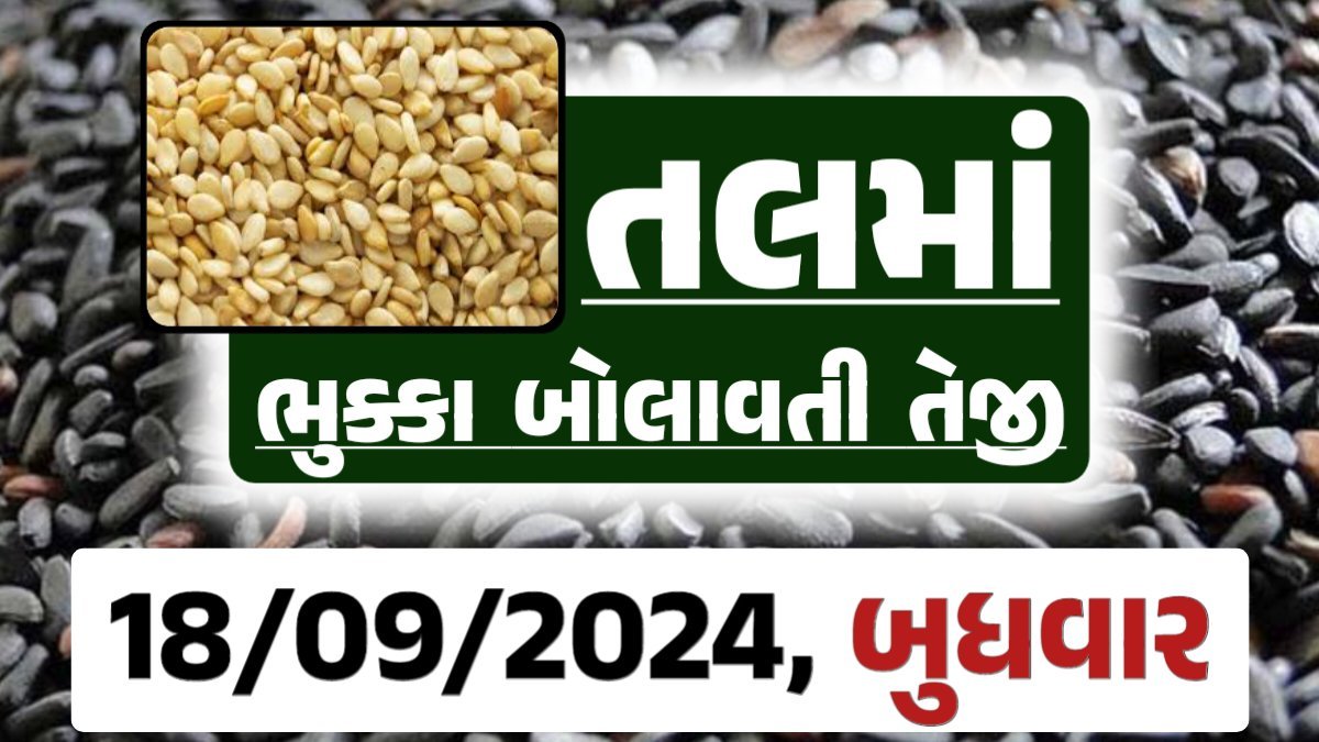 Tal price 18-09-2024 આજના સફેદ અને કાળા તલ ના બજાર ભાવ Gkmarugujarat.com