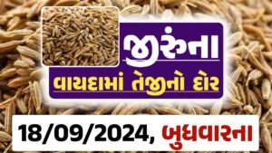 jiru Price 18-09-2024 આજના જીરૂ ના બજાર ભાવ gkmarugujarat.com