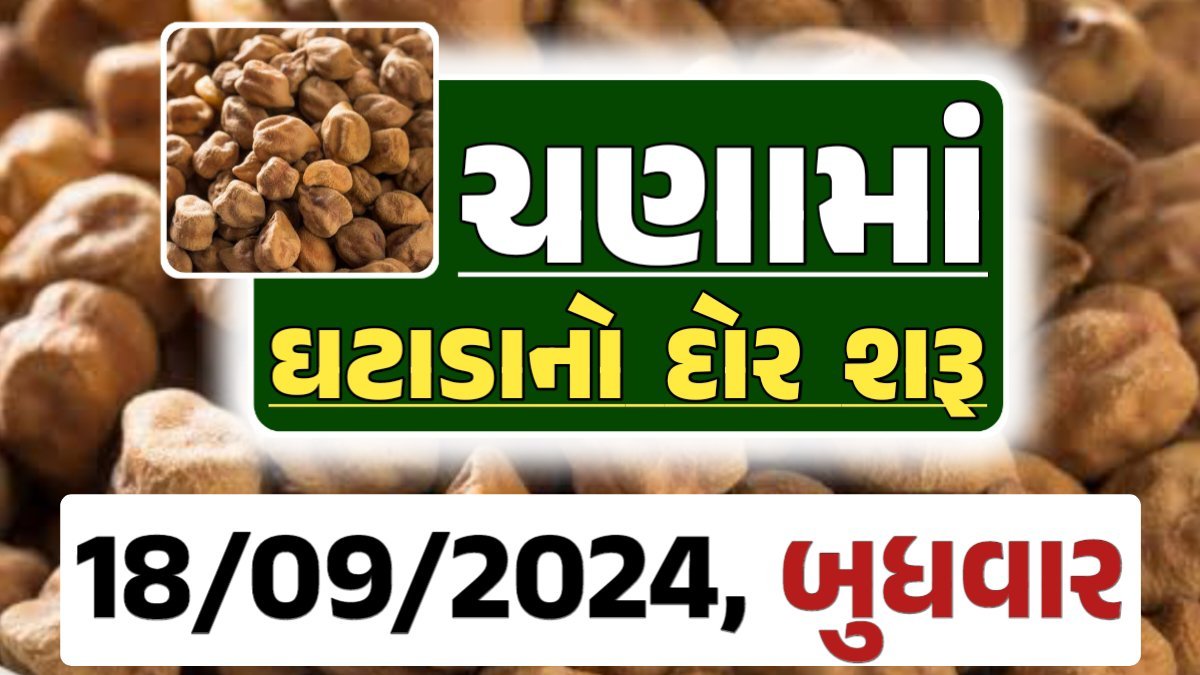 Chana Price 18-09-2024 આજના ચણા ના બજાર ભાવ gkmarugujarat.com