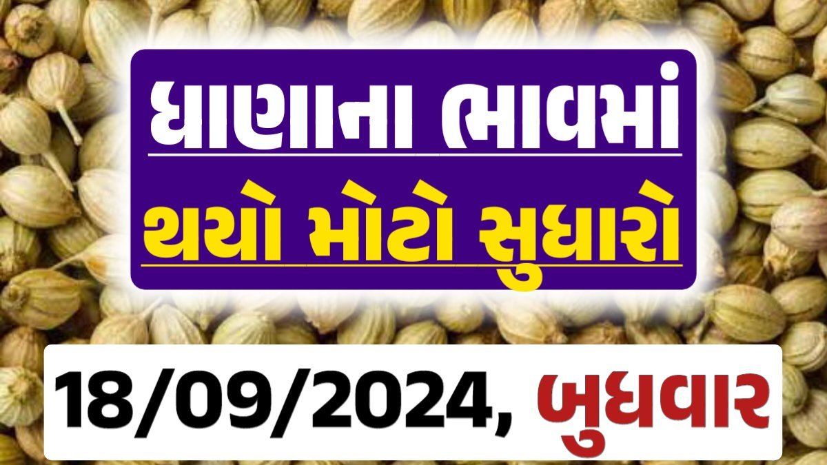 Dhana Price 18-09-2024 આજના ધાણા ના બજાર ભાવ gkmarugujarat.com