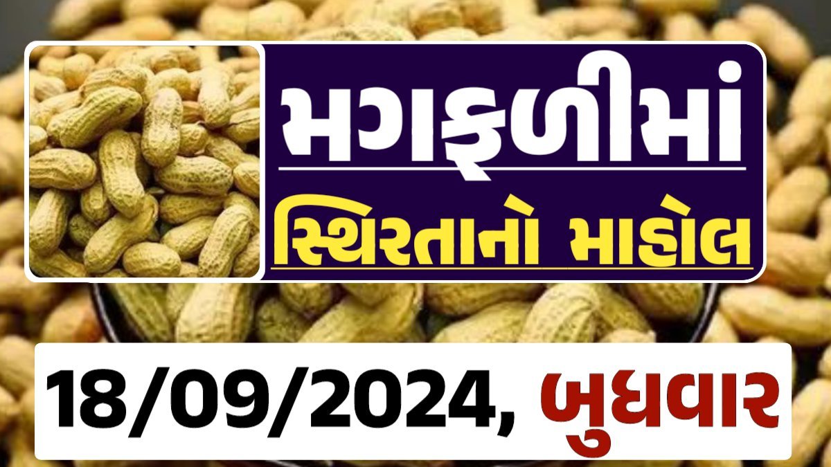 Magfali Price 18-09-2024 જાડી અને જીણી મગફળીના ભાવ Gkmarugujarat.com