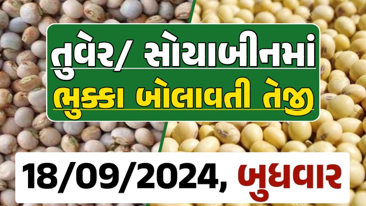 Turmeric And Soybeans Price 18-09-2024 તુવેર સોયાબીન ના બજાર ભાવ gkmarugujarat.com