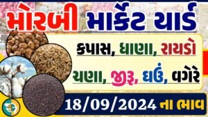 Morbi Apmc Rate 18-09-2024 આજના મોરબી માર્કેટના બજાર ભાવ Gkmarugujarat.com