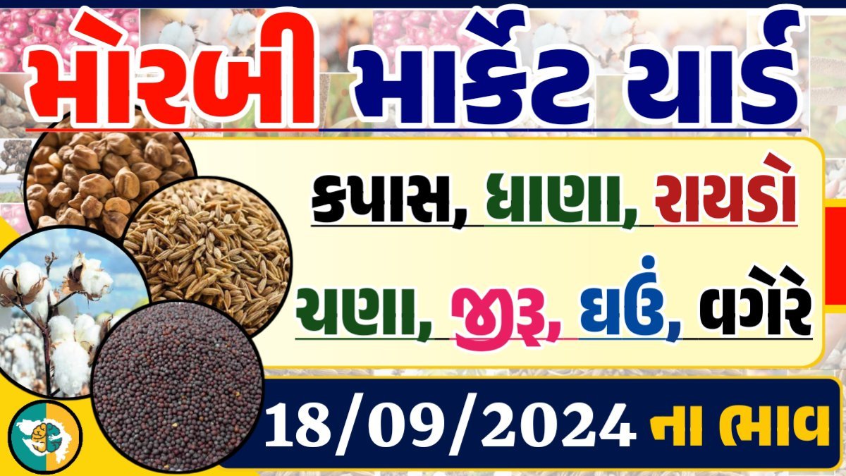 Morbi Apmc Rate 18-09-2024 આજના મોરબી માર્કેટના બજાર ભાવ Gkmarugujarat.com