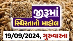 jiru Price 19-09-2024 આજના જીરૂ ના બજાર ભાવ gkmarugujarat.com