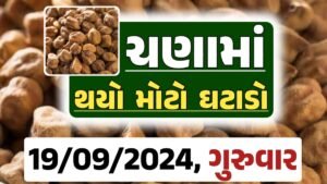 Chana Price 19-09-2024 આજના ચણા ના બજાર ભાવ gkmarugujarat.com