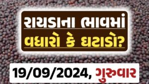 Rayda Price 19-09-2024 આજના રાયડા ના બજાર ભાવ gkmarugujarat.com