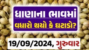 Dhana Price 19-09-2024 આજના ધાણા ના બજાર ભાવ gkmarugujarat.com