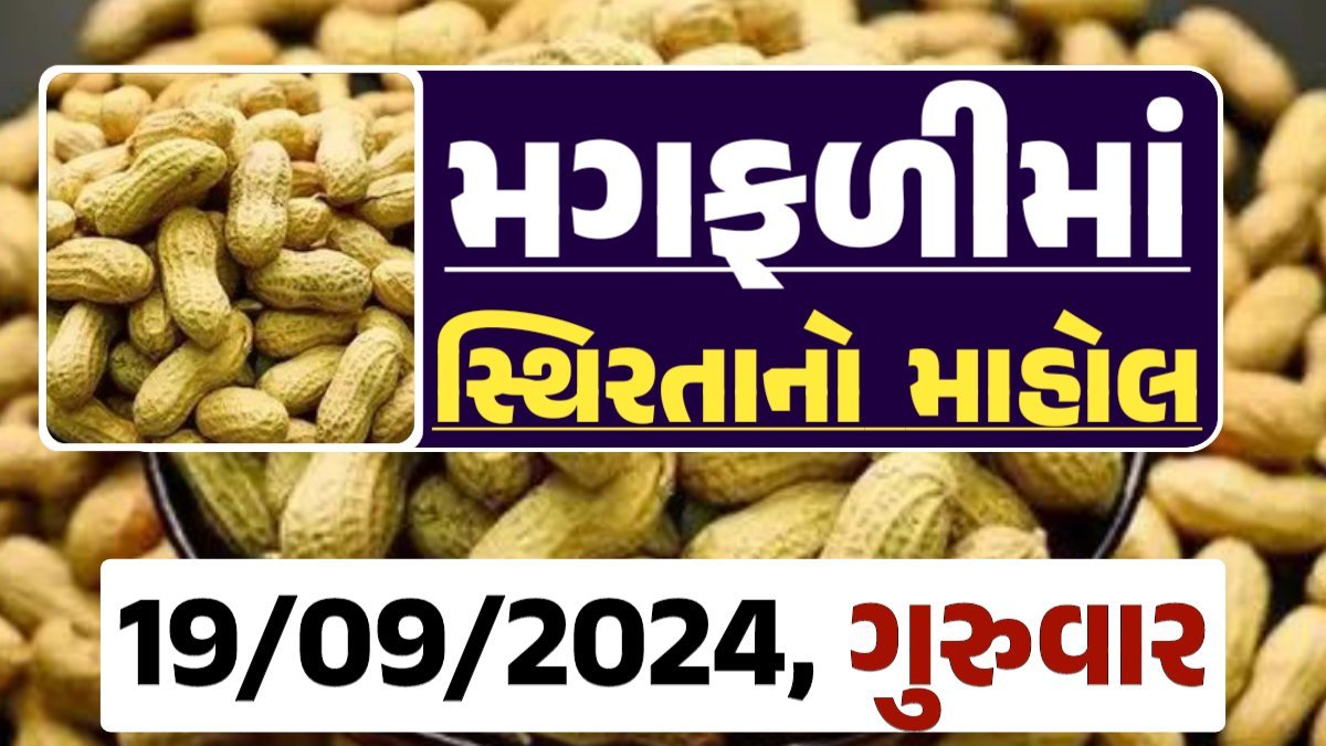 Magfali Price 19-09-2024 જાડી અને જીણી મગફળીના ભાવ Gkmarugujarat.com