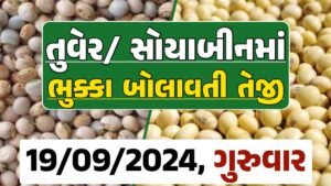 Turmeric And Soybeans Price 19-09-2024 તુવેર સોયાબીન ના બજાર ભાવ gkmarugujarat.com