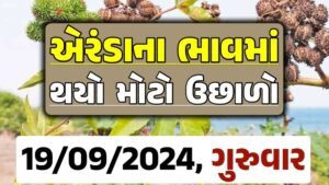 Eranda Price 19-09-2024 આજના એરંડા ના બજાર ભાવ gkmarugujarat.com