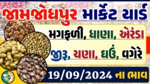 Jamjodhpur Apmc Rate 19-09-2024 આજના જામજોધપુર માર્કેટના બજાર ભાવ Gkmarugujarat.com