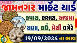 Jamnagar Apmc Rate 19-09-2024 આજના જામનગર ના બજાર ભાવ Gkmarugujarat.com