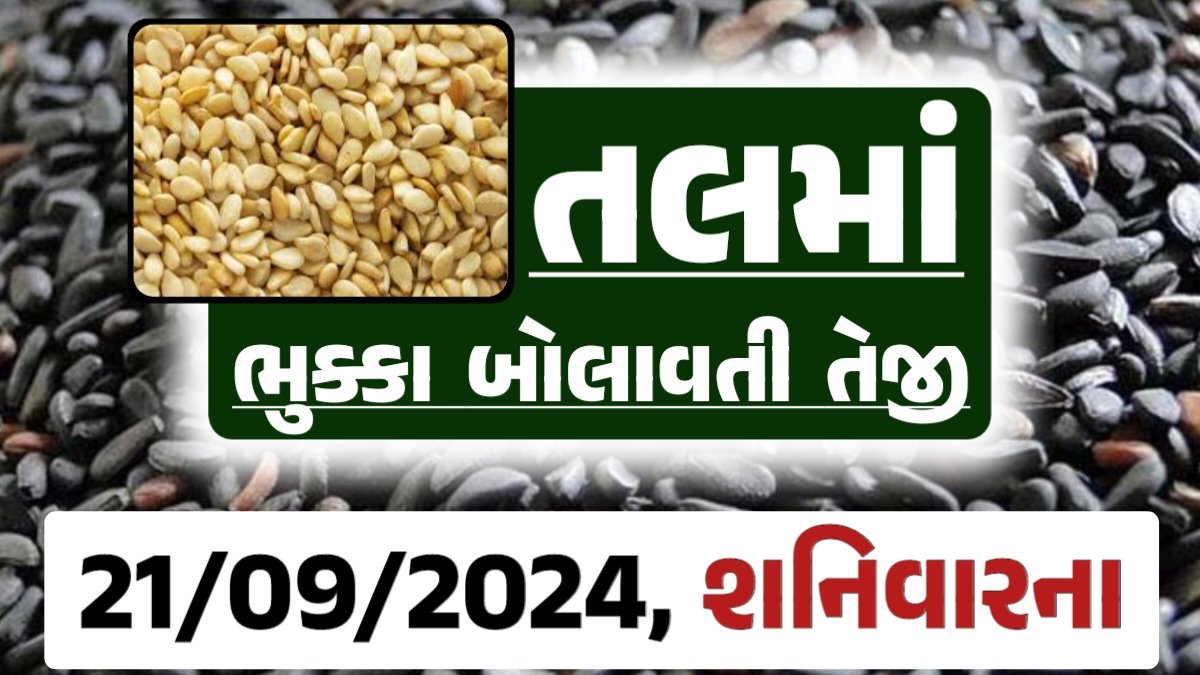 Tal price 21-09-2024 આજના સફેદ અને કાળા તલ ના બજાર ભાવ Gkmarugujarat.com