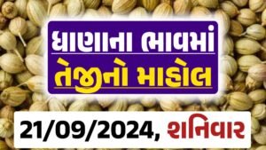 Dhana Price 21-09-2024 આજના ધાણા ના બજાર ભાવ gkmarugujarat.com