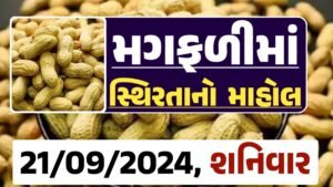 Magfali Price 21-09-2024 જાડી અને જીણી મગફળીના ભાવ Gkmarugujarat.com