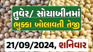 Turmeric And Soybeans Price 21-09-2024 તુવેર સોયાબીન ના બજાર ભાવ gkmarugujarat.com