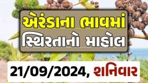 Eranda Price 21-09-2024 આજના એરંડા ના બજાર ભાવ gkmarugujarat.com