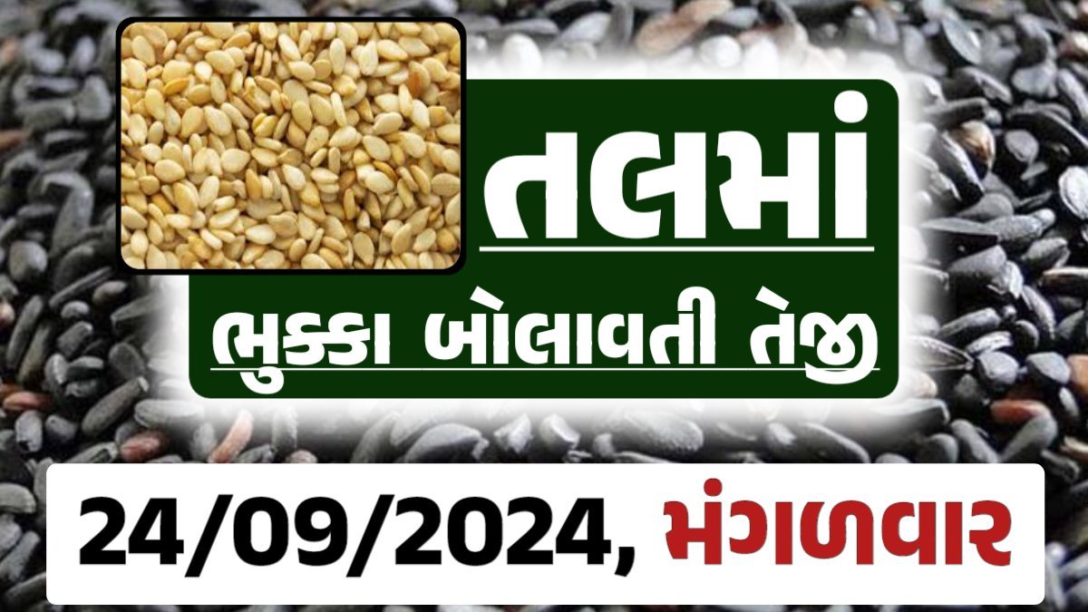 Tal price 24-09-2024 આજના સફેદ અને કાળા તલ ના બજાર ભાવ Gkmarugujarat.com