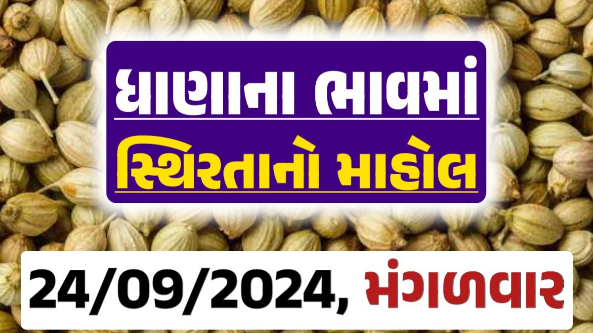 Dhana Price 24-09-2024 આજના ધાણા ના બજાર ભાવ gkmarugujarat.com